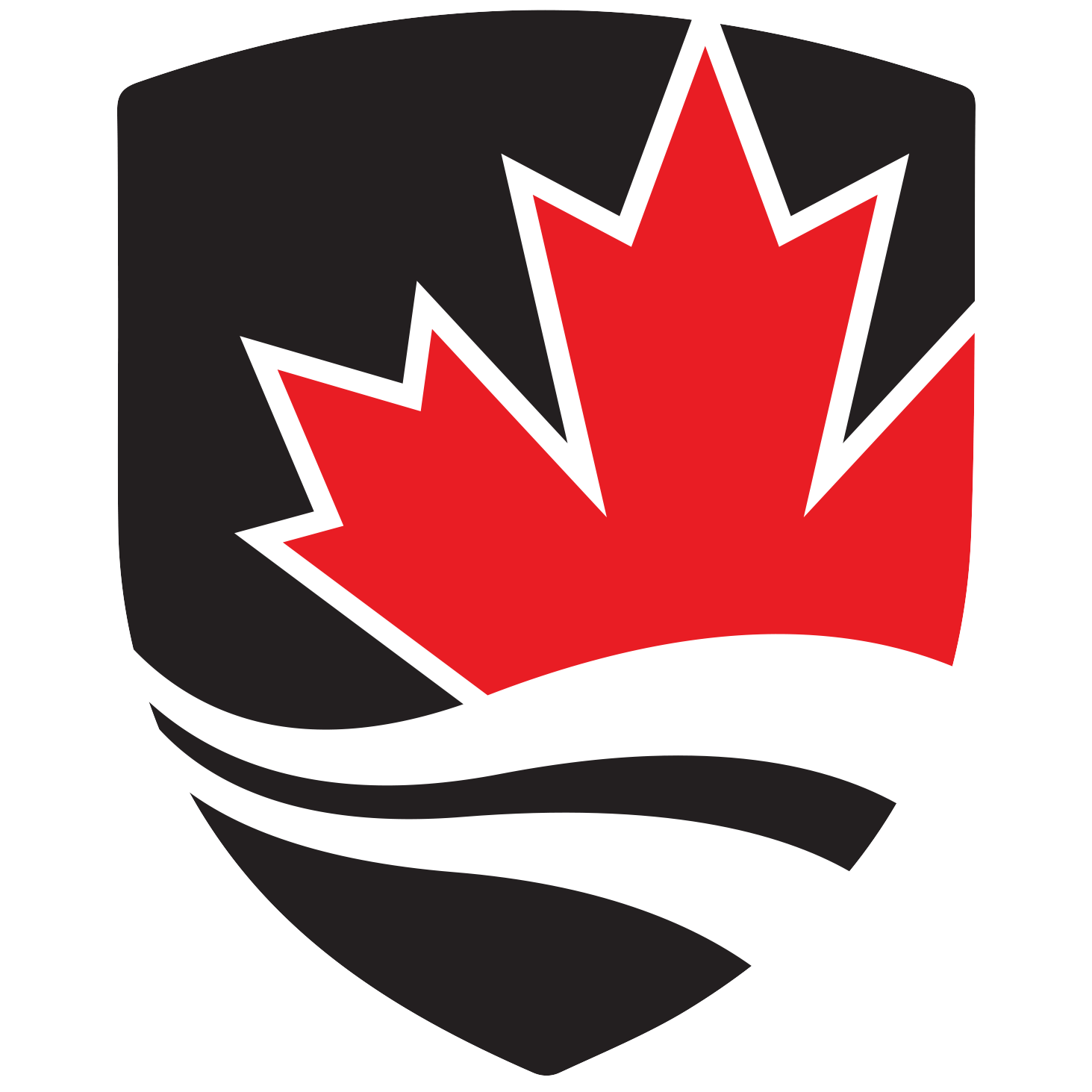 Carleton logo